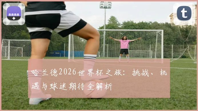 哈兰德2026世界杯之旅:挑战、机遇与球迷期待全解析